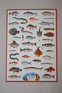 Karte mit Meeresfischen