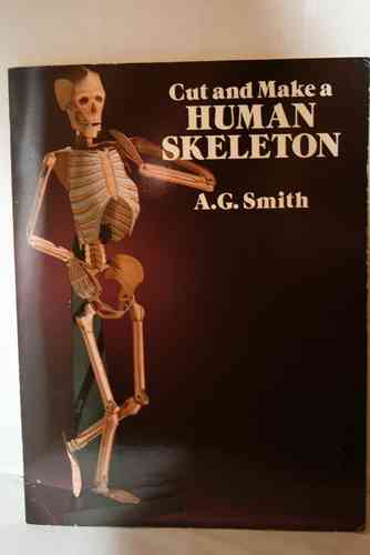 squelette humain