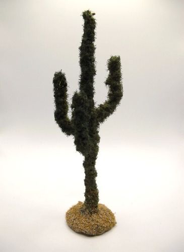 Saguaro Katkus